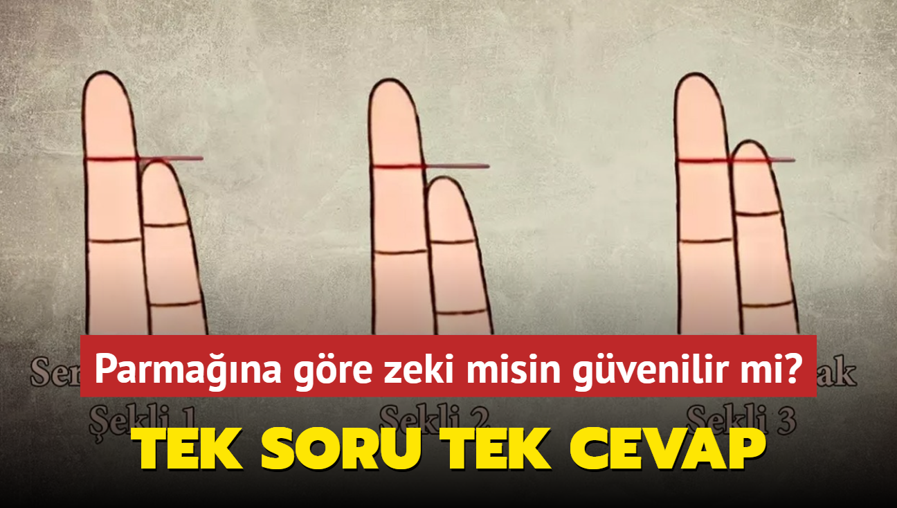 Kiilik testi: Tek soru tek cevap! Parmana gre zeki misin, gvenilir mi"