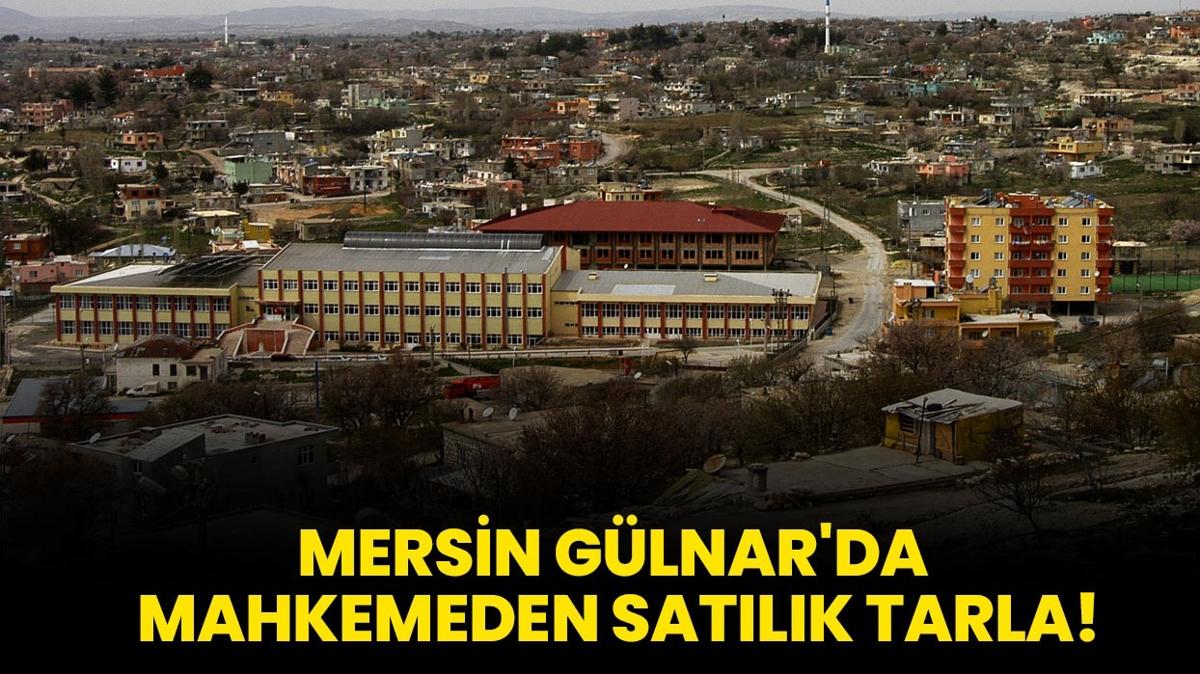 Mersin Glnar'da mahkemeden satlk tarla!