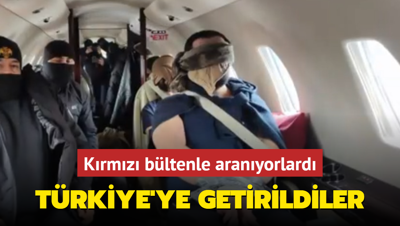 Krmz bltenle aranyorlard... Trkiye'ye getirildiler