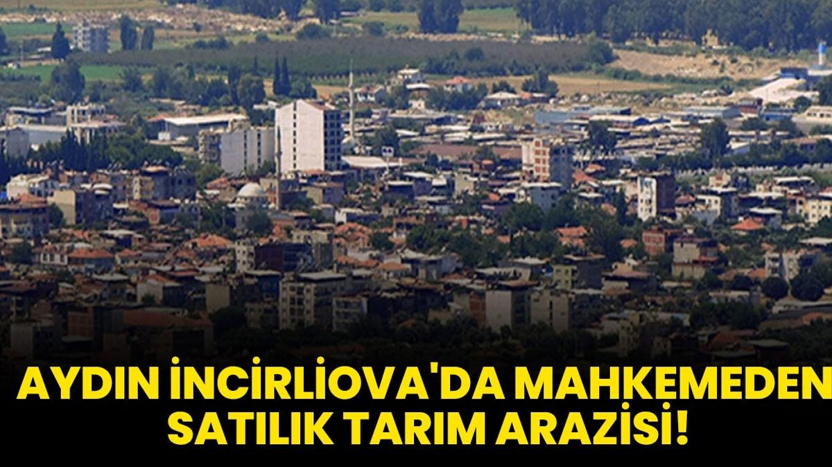 Aydn ncirliova'da mahkemeden satlk tarm arazisi!