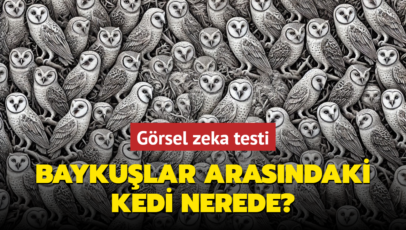 Zeka testi: Baykular arasndaki gizli kedi nerede" Analitik zekas olan hemen buluyor