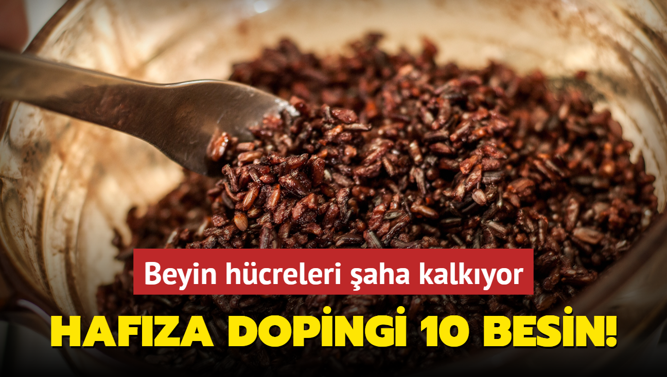 Hafza dopingi 10 besin! Beyin hcreleri aha kalkyor: Fil hafzas iin besin nerileri