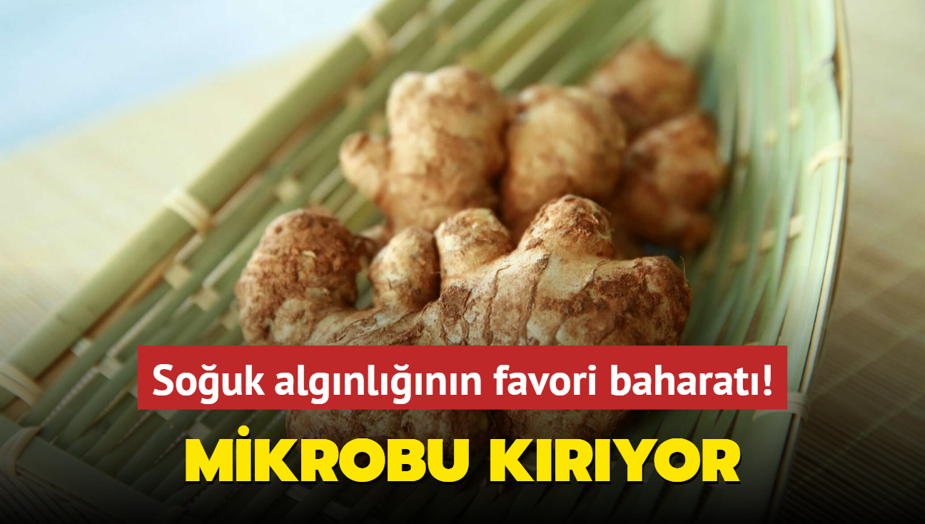 Souk algnlnn favori baharat! Boazdaki enfeksiyonu kurutuyor, azdaki mikrobu kryor