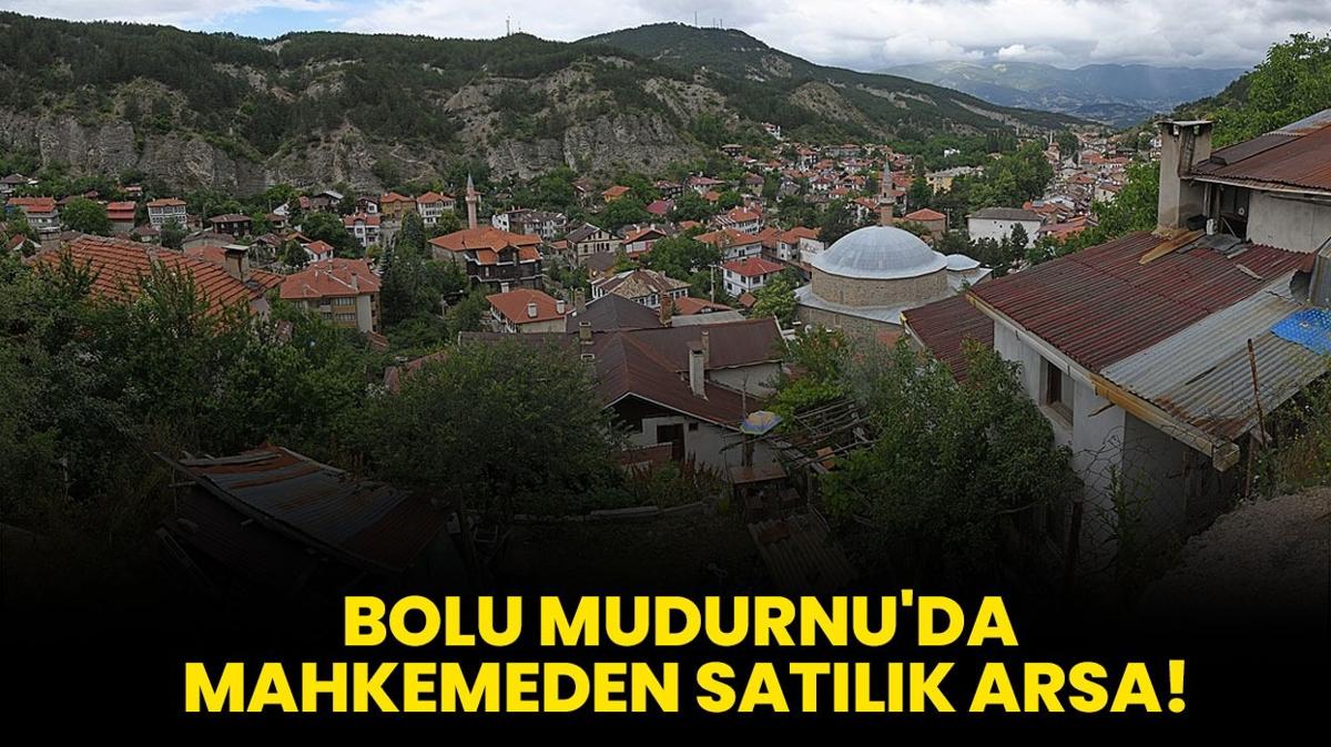 Bolu Mudurnu'da mahkemeden satlk arsa!