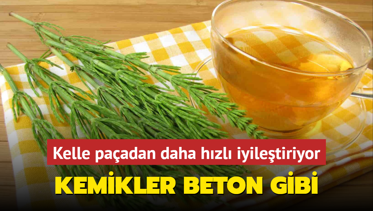 Kelle paadan daha hzl iyiletiriyor: Kemikleri beton gibi yapan ot! Gargaras ayr demlemesi ayr ifa