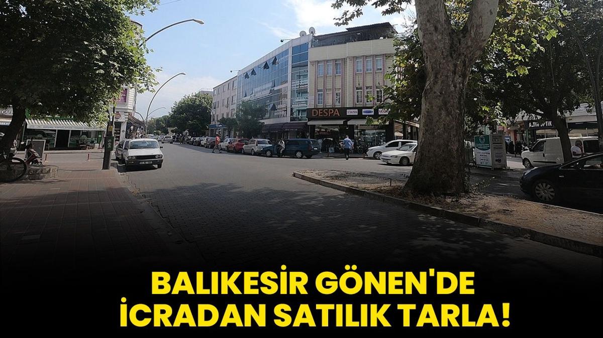 Balkesir Gnen'de icradan satlk tarla!