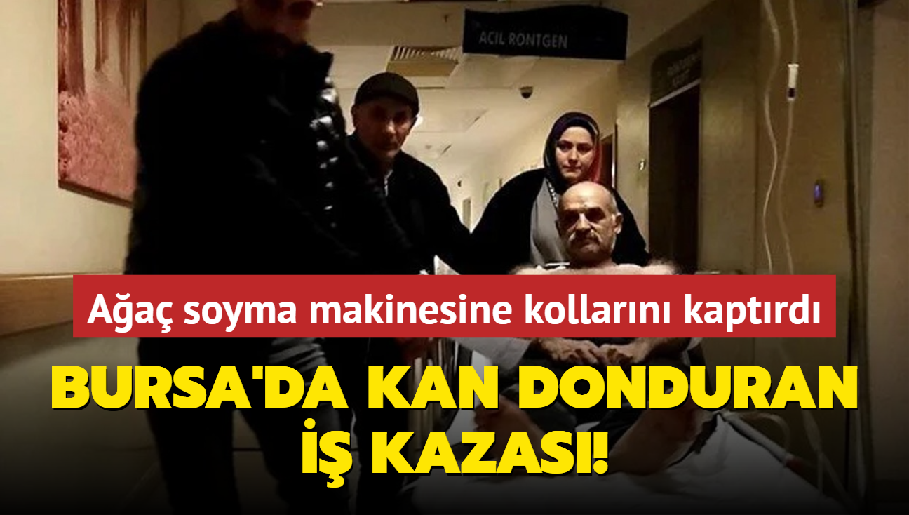 Bursa'da kan donduran i kazas! Aa soyma makinesine kollarn kaptrd