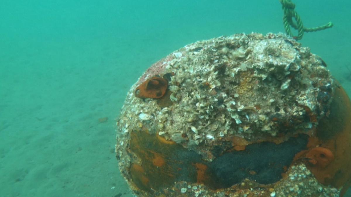 anakkale Savalar'ndan kalma tarihi mayn imha edildi