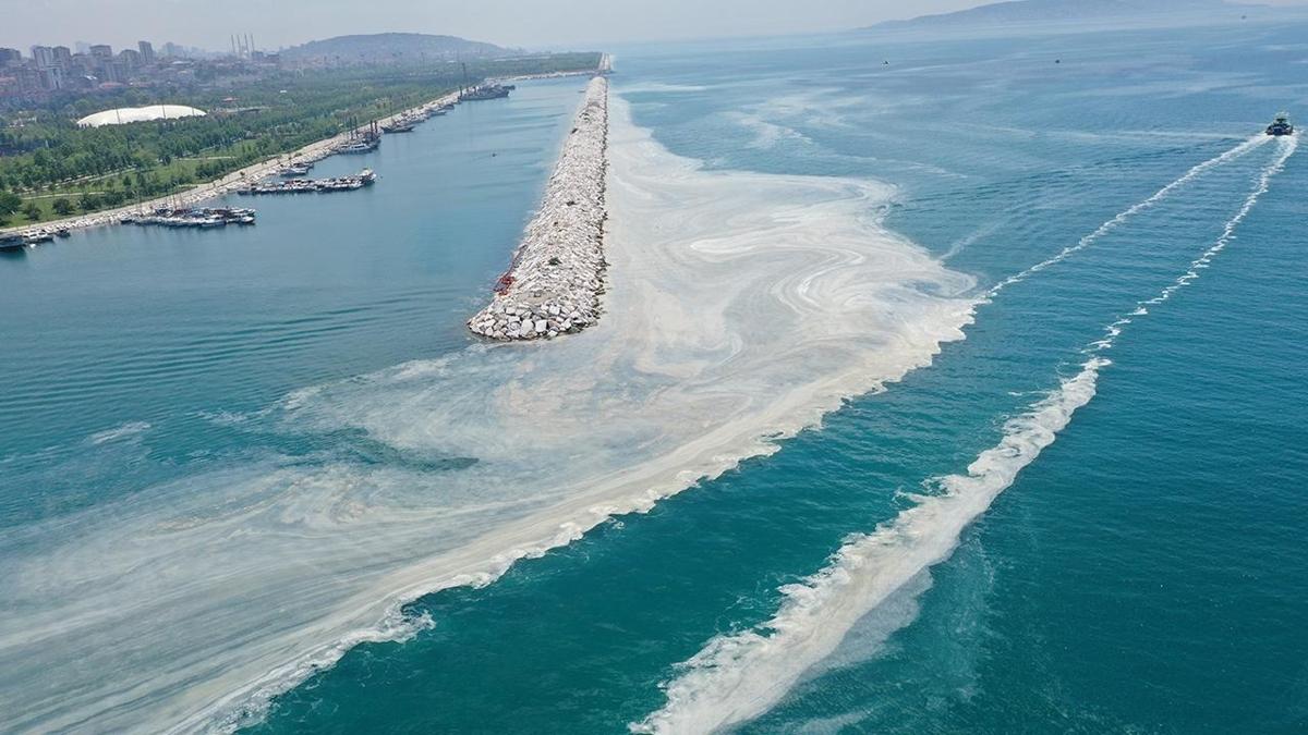 Marmara Denizi'nde msilaj yeniden grld