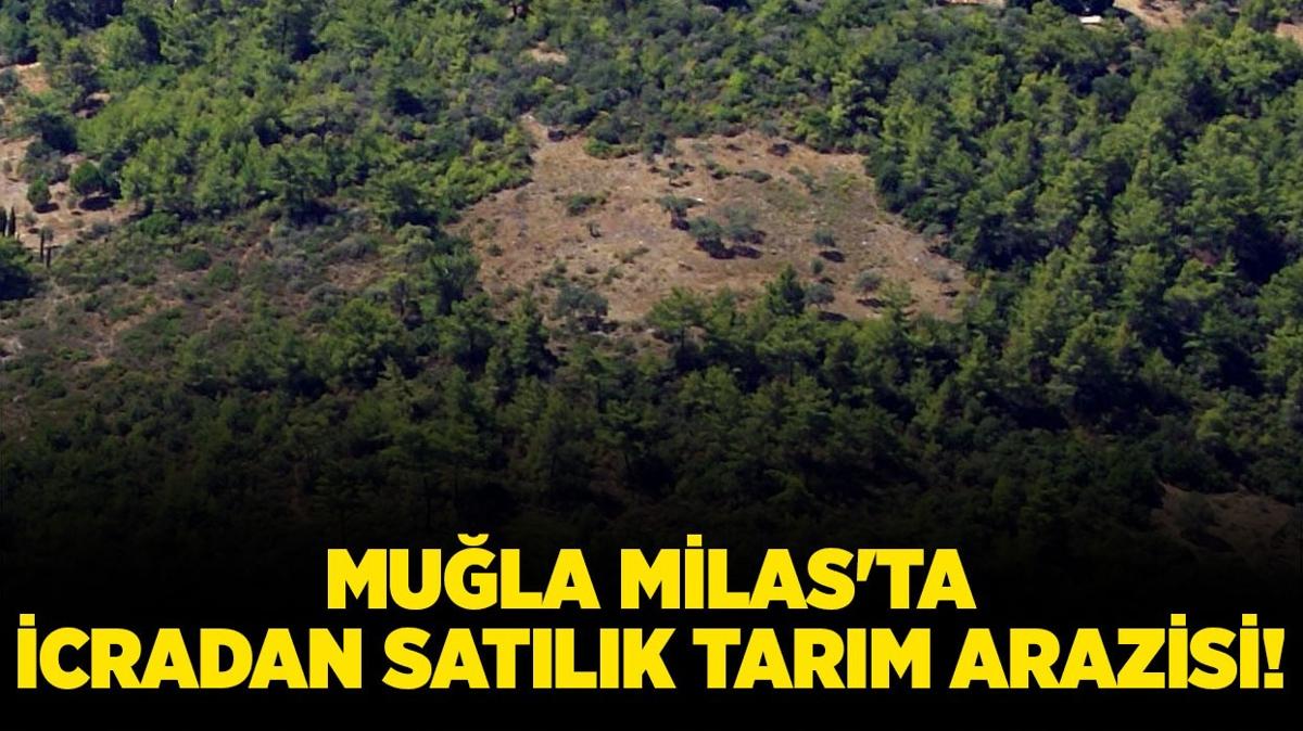 Mula Milas'ta icradan satlk tarm arazisi!