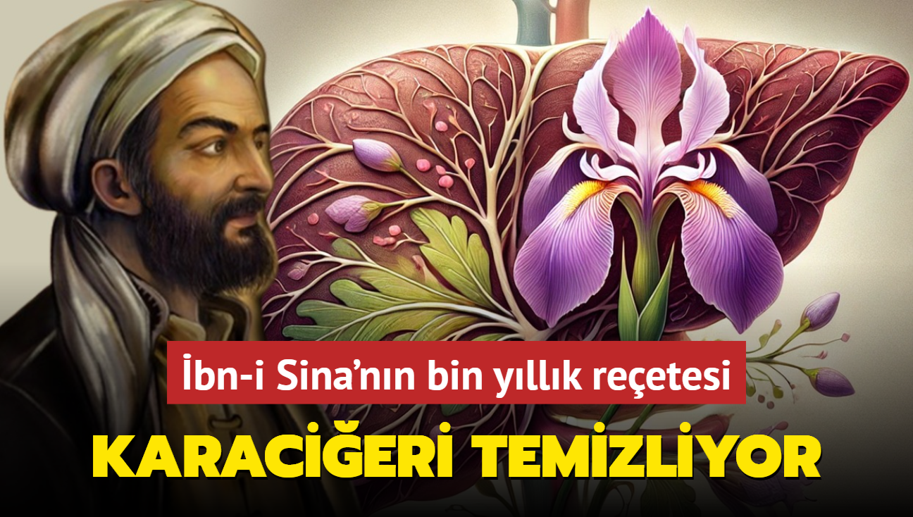 bn-i Sina'nn bin yllk reetesi: Karacieri yeniden domu gibi yapyor! Sirkeyle iince...