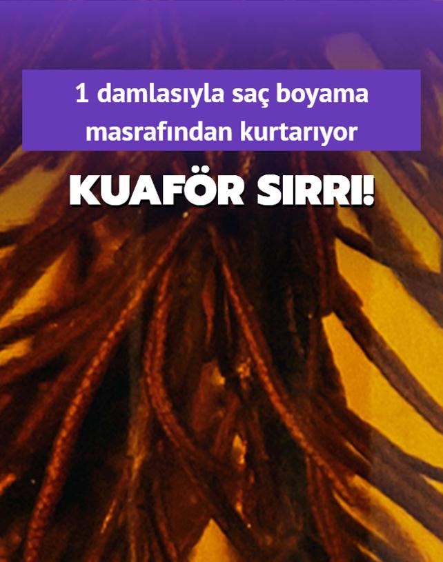 Kuafrler sr gibi saklyor! 1 damlasyla sa boyama masrafndan kurtaryor