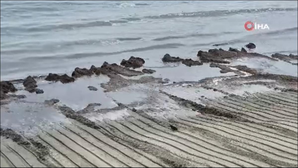 Marmara kylarna vuran kzl yosunlar kt kokuya neden oldu