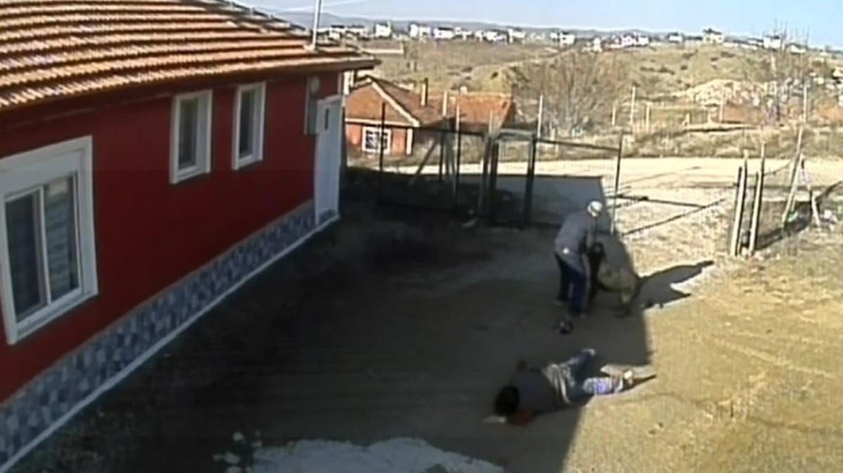 orum'da kpein saldrsnda 3 kii yaraland