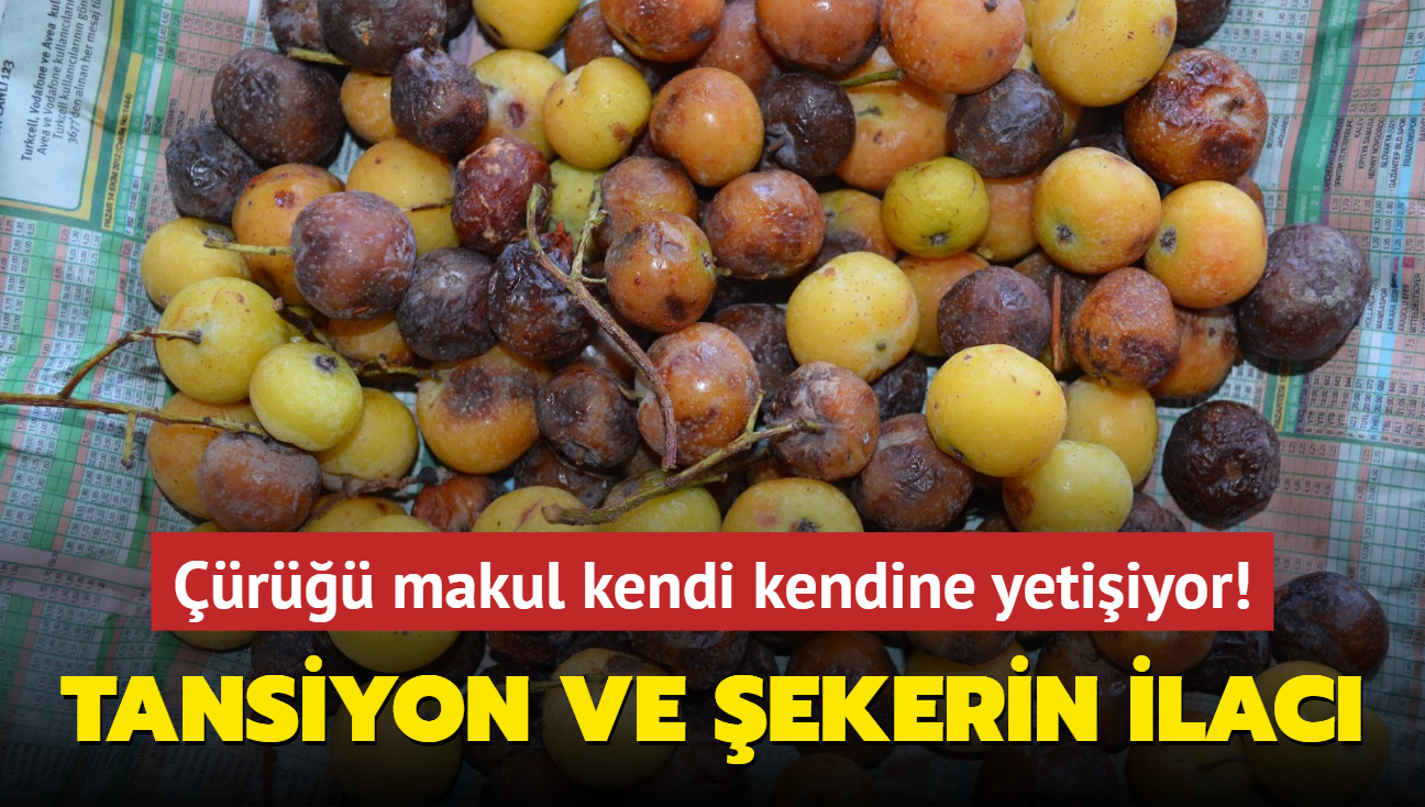 r makul kendi kendine yetiiyor! Tansiyon ve ekerin ilac meyve