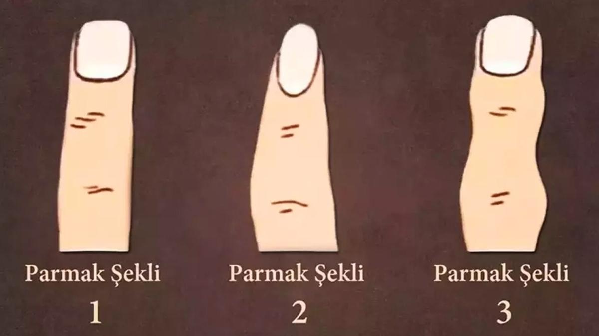 Kiilik testi: Zekan m daha gl hafzan m" Parman kontrol et ve sonucu ren