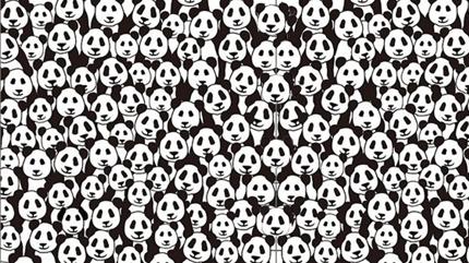 Zeka testi: Pandalarn iindeki minik koala nerede? 5 saniyede bulanlar