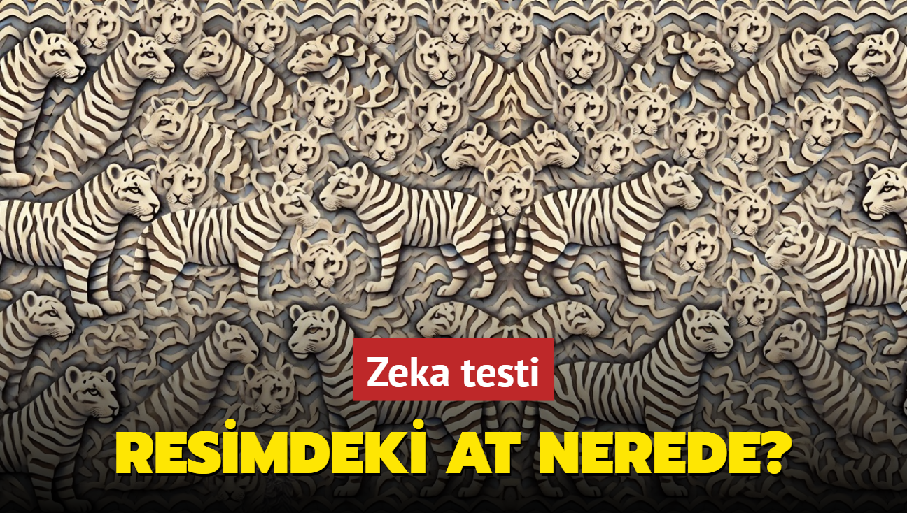 Zeka testi: Resimdeki at nerede" Sadece yksek IQ'ya sahip olan grebiliyor