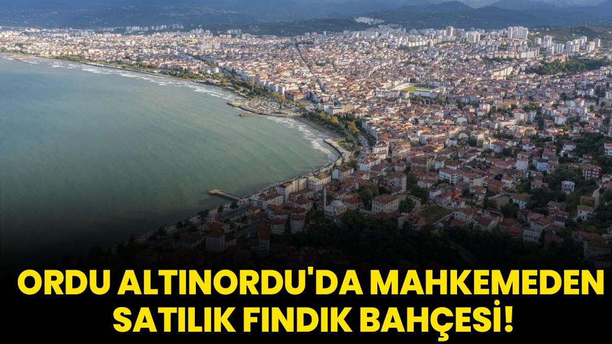 Ordu Altnordu'da mahkemeden satlk fndk bahesi!