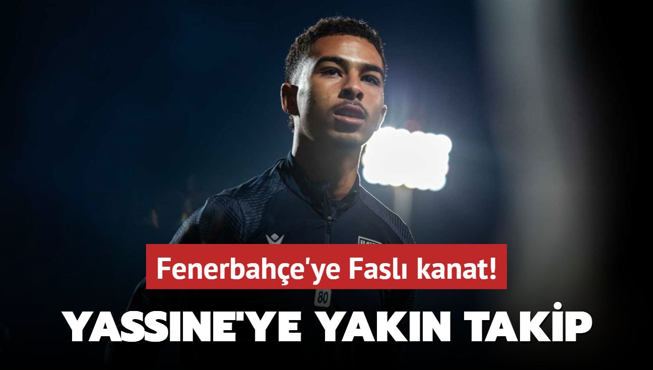 Fenerbahe'ye Fasl kanat! Gessime Yassine'ye yakn takip