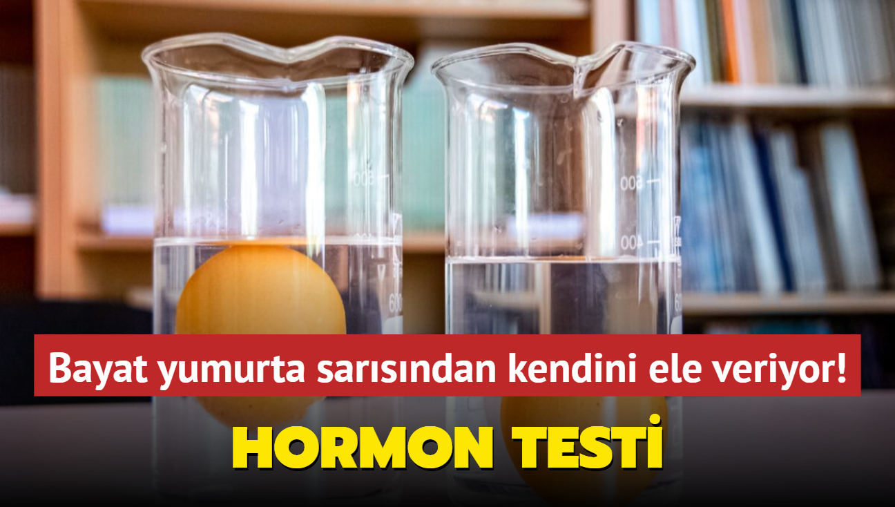 Bayat yumurta sarsndan kendini ele veriyor! Hormonsuz yumurta nasl seilir" Taze yumurta testi...