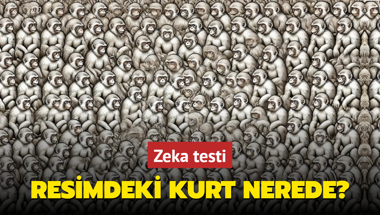 Zeka testi: Maymunlar arasndaki kurt nerede" Sadece yzde 1 kesim grebiliyor