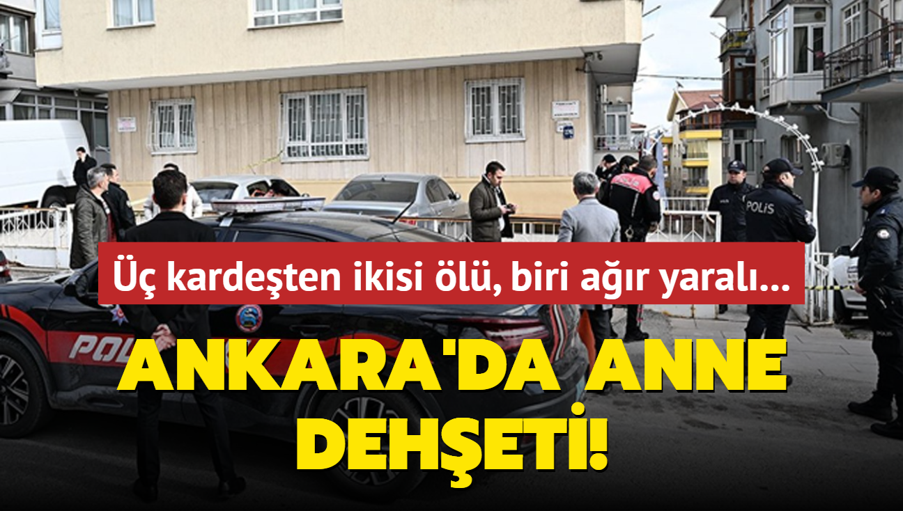 Ankara'da anne deheti!  kardeten ikisi l, biri ar yaral