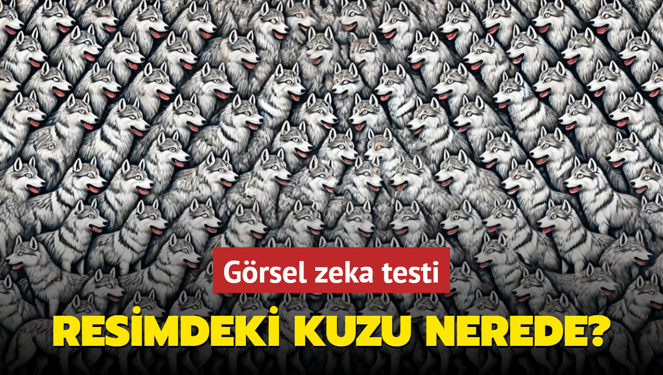 Zeka testi: Kurtlarn iindeki kuzu nerede" Bulanlar mhendis zekasna sahip...