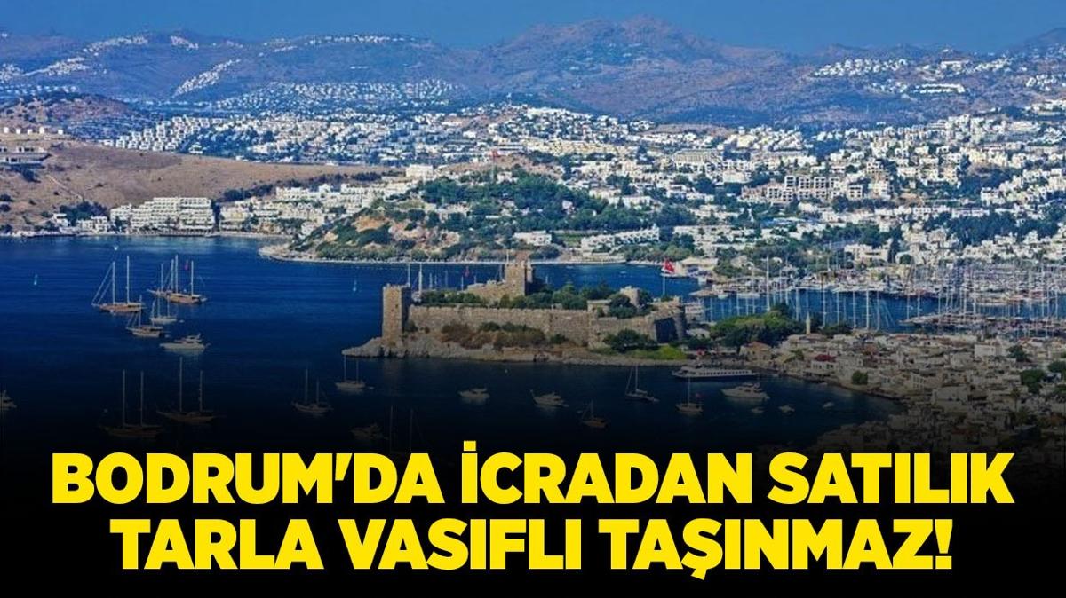 Mula Bodrum'da icradan satlk tarla vasfl tanmaz!