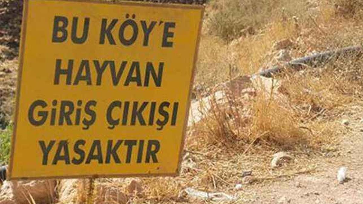 anlurfa'da kuduz alarm: Yarallar var, ky karantinaya alnd
