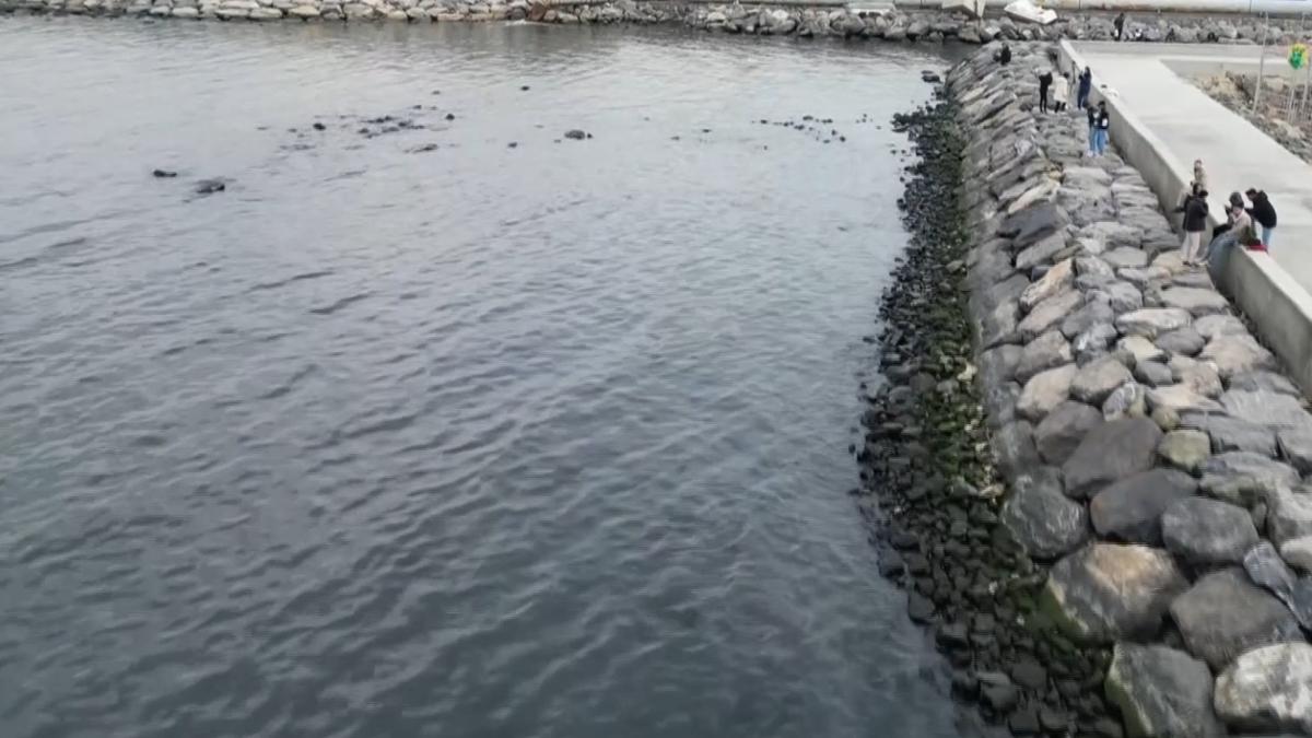 skenderun'da deniz 15 metre ekildi