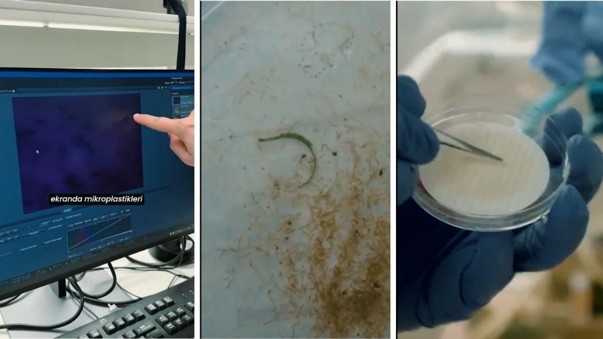 Trk bilim insanlarndan Antartika'da 'Sfr Atk' mesaj: Mikroplastikleri gzlemlediler