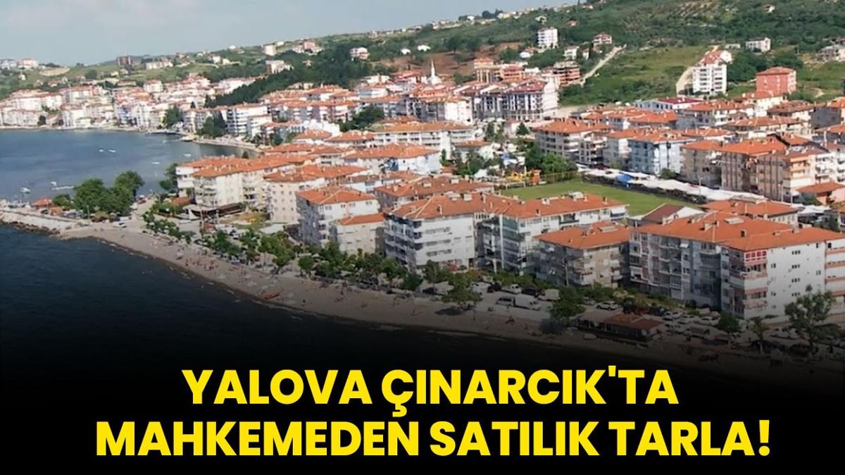 Yalova narck'ta mahkemeden satlk tarla!