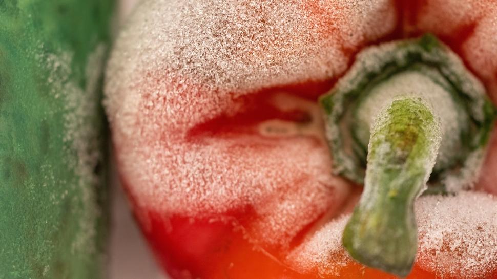 Domatesi küften korumak bu kadar basit