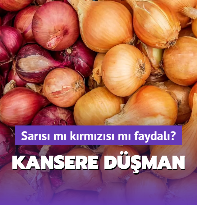 Kansere dman sebze! Sar soan m krmz soan m faydal"