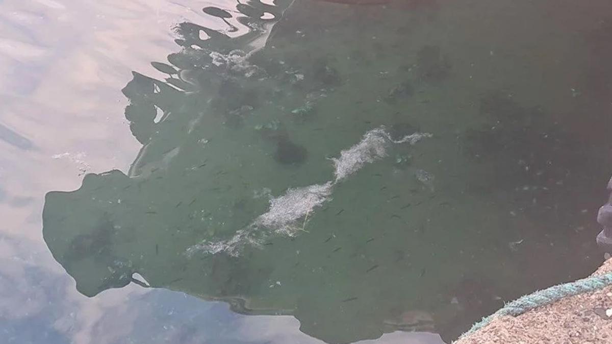 anakkale'de Boaz'nda alarm: Balklk faaliyetleri durdu