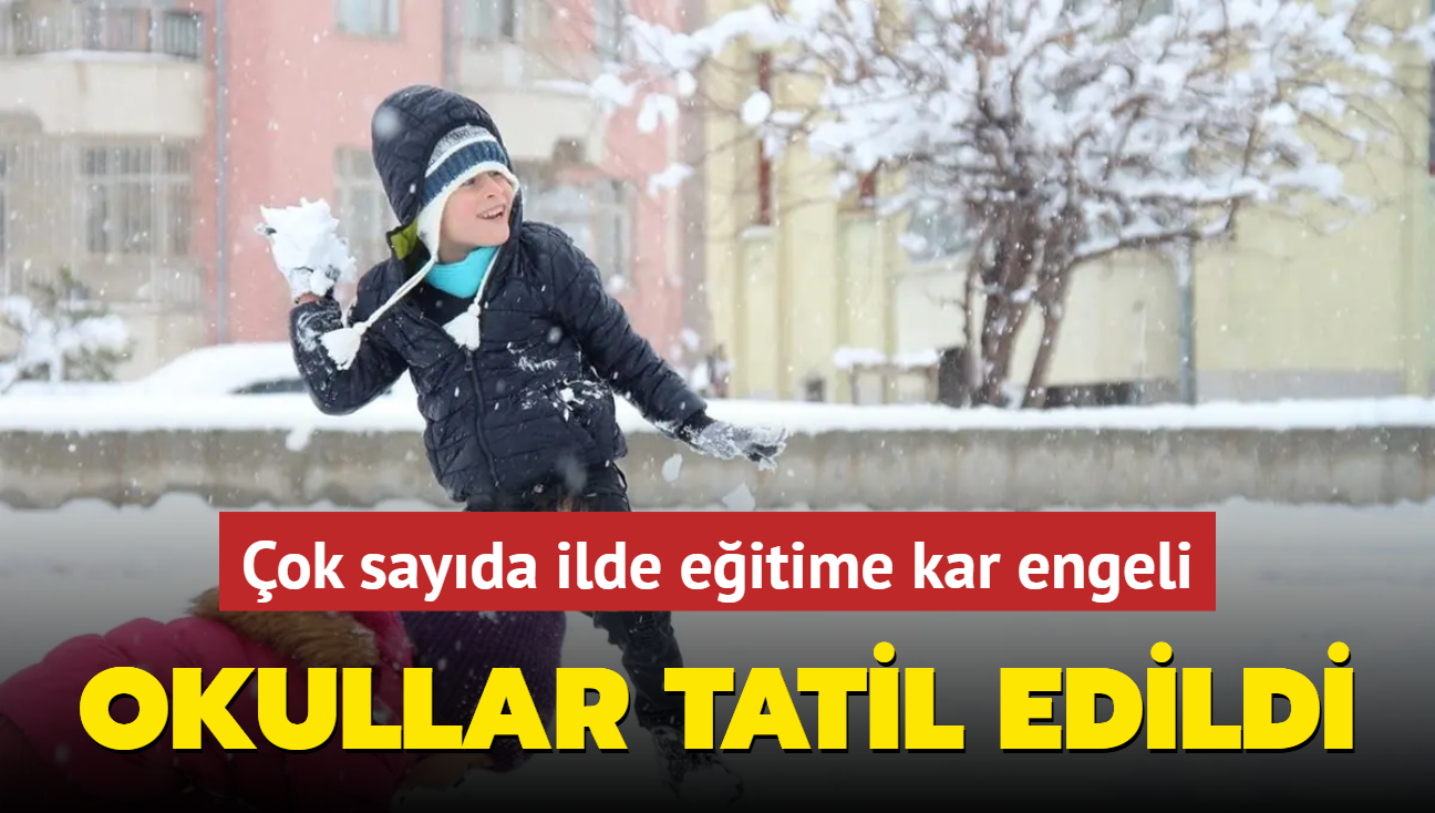 ok sayda ilde eitime kar engeli: Okullar tatil edildi