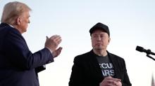 Elon Musk'tan Zelenski'ye ''seim'' ars