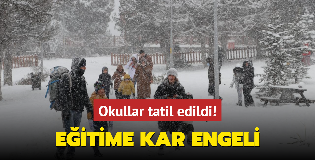 Eitime kar engeli... Okullar tatil edildi!