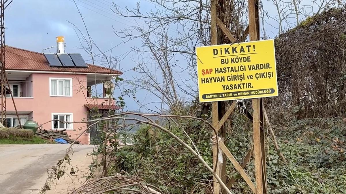 Bitlis'te ap alarm