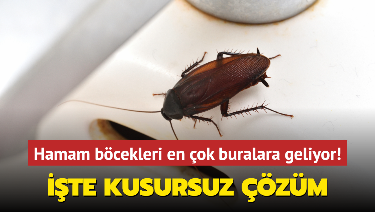 Hamam bcekleri evde en ok buralara geliyor! te kusursuz zm