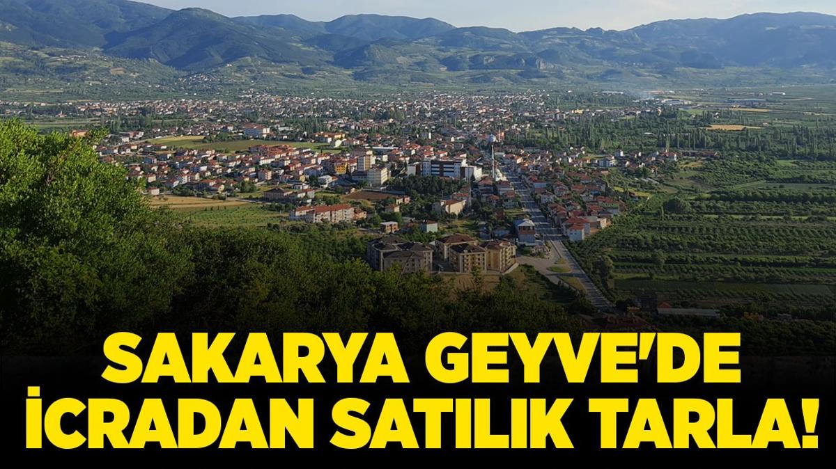 Sakarya Geyve'de 4.110 metrekare icradan satlk tarla!