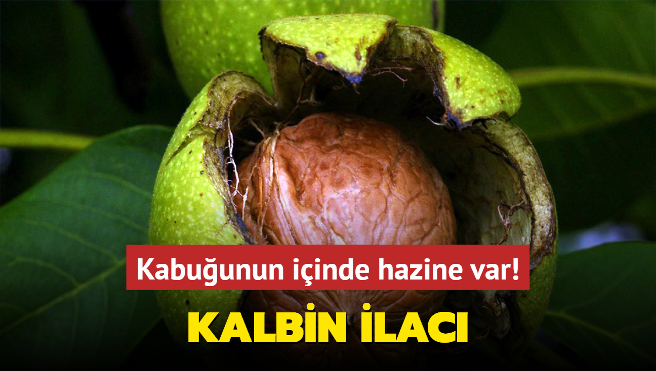 Kabuunun iinde hazine var! Kahvaltda tketmek daha faydal: Kalbin ilac