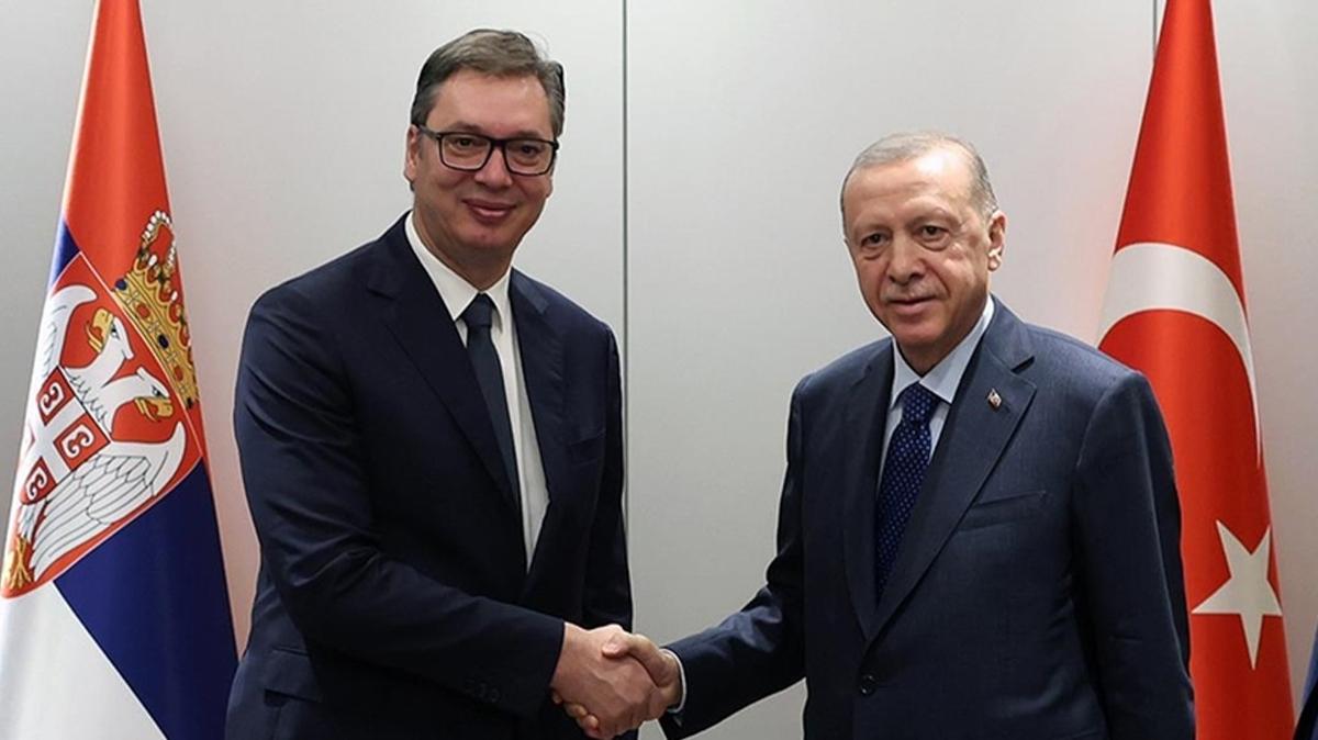 Bakan Erdoan, Srbistan Cumhurbakan  Vucic ile grt