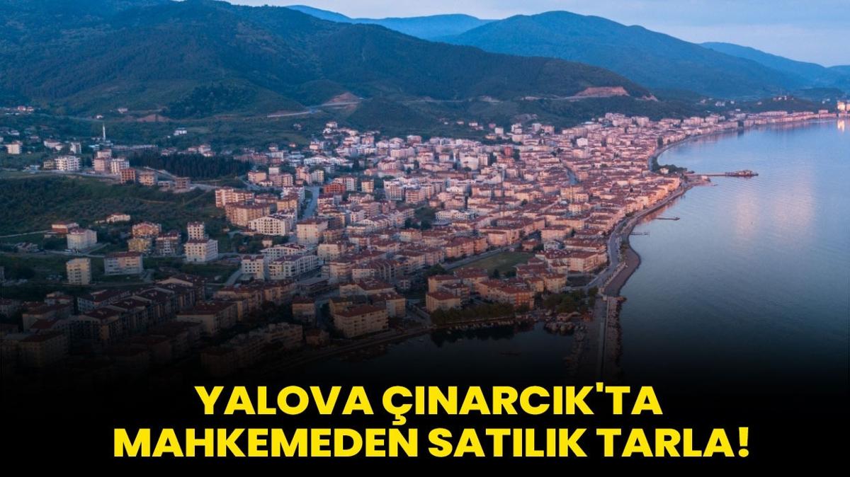 Yalova narck'ta mahkemeden satlk tarla!