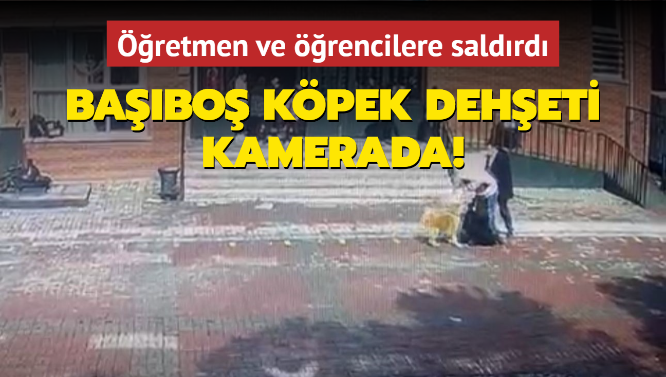 mraniye'de babo kpek deheti... rencilere saldrd anlar gvenlik kamerasnda!