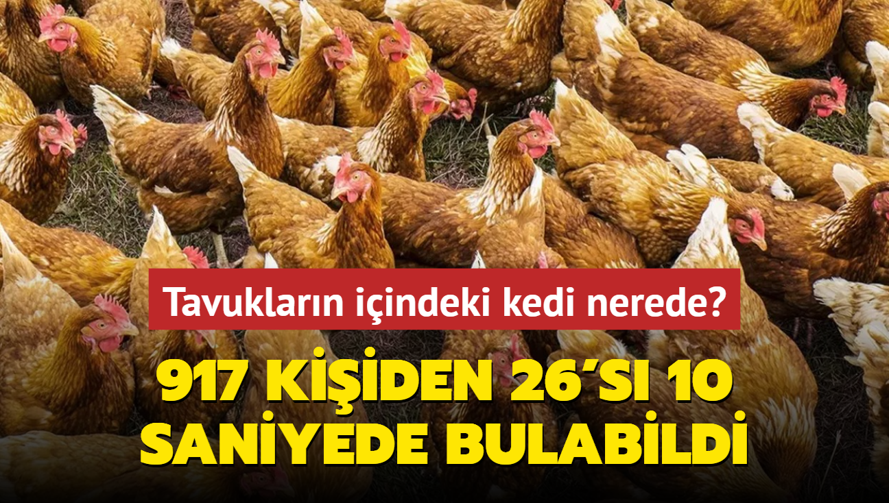 Zeka testi: Tavuklarn iinde saklanan yavru kedi nerede" 917 kiiden 26's 10 saniyede bulabildi