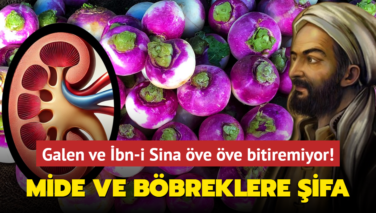 Galen ve bn-i Sina ve ve bitiremiyor! Mide ve bbreklere mucize besin