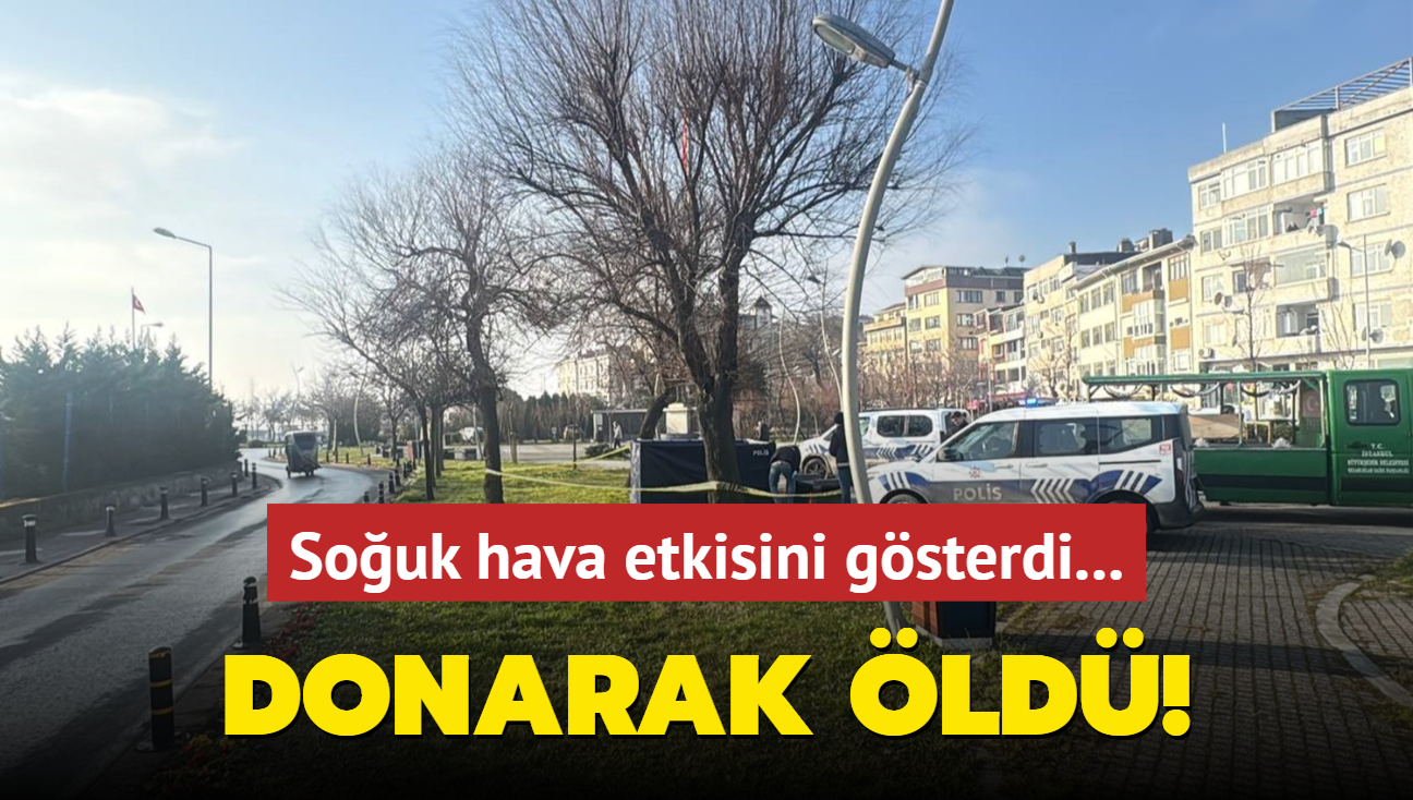 Souk hava etkisini gsterdi... Donarak ld!