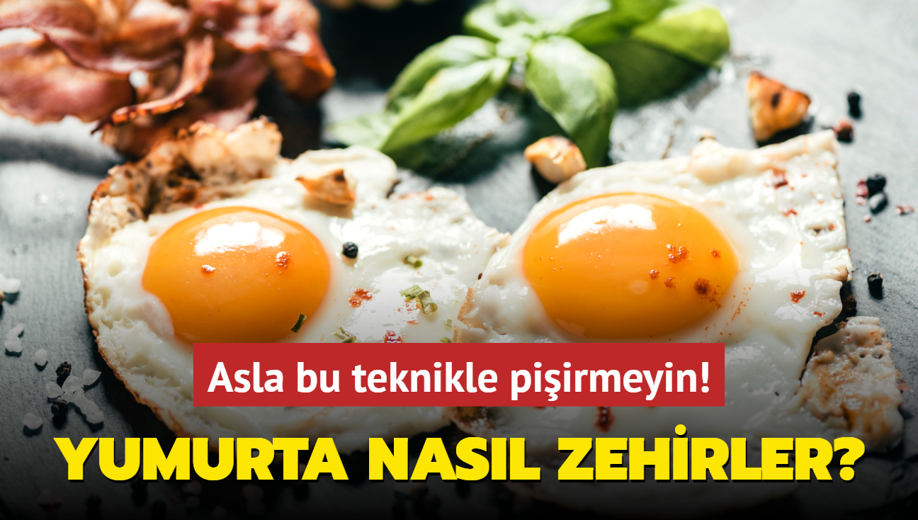 Yumurta nasl zehirler" Asla bu teknikle piirmeyin! lmcl Salmonella bakterisi ortaya kyor